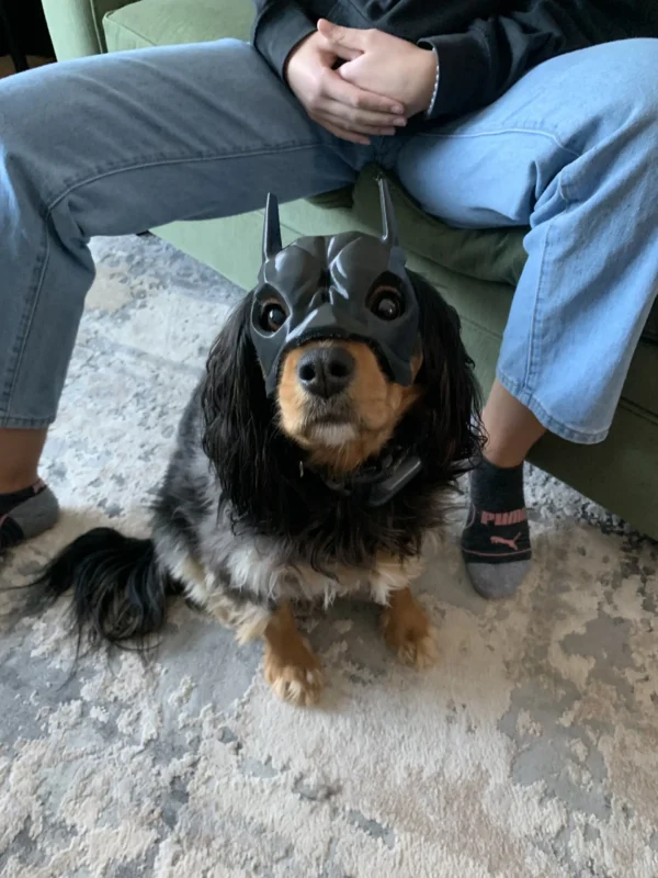 Batman Dog Mask - Görsel 4