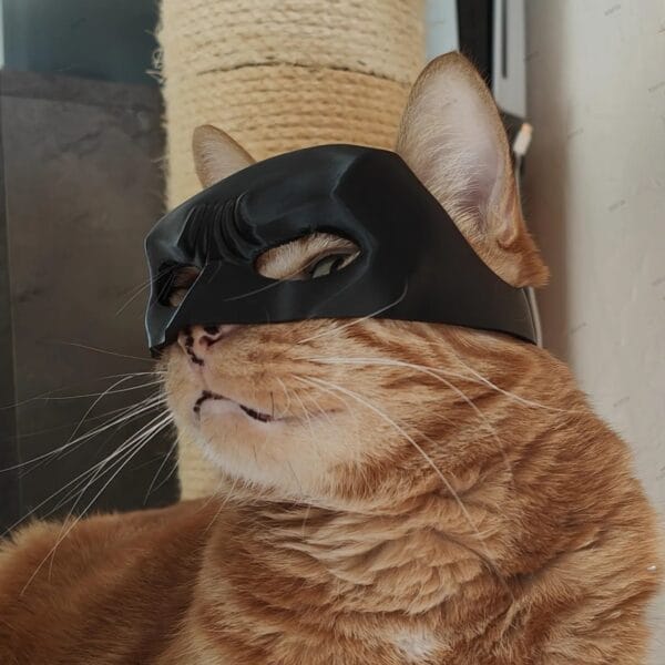 Batman Cat Mask - Görsel 2