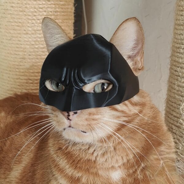 Batman Cat Mask
