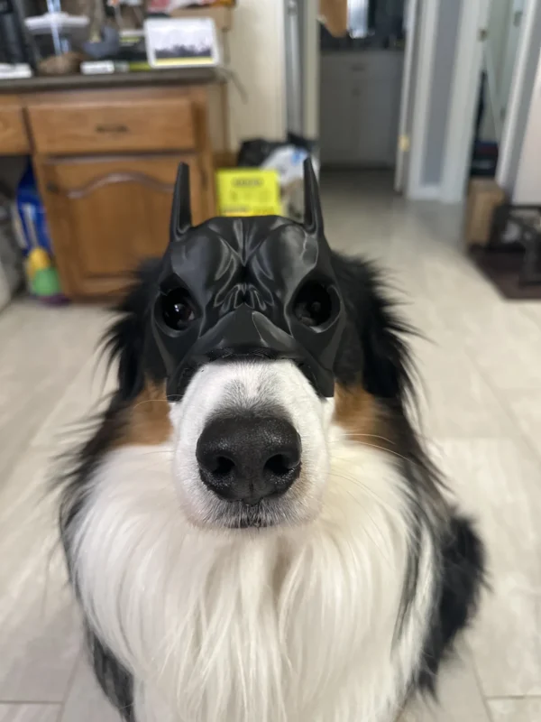 Batman Dog Mask - Görsel 2