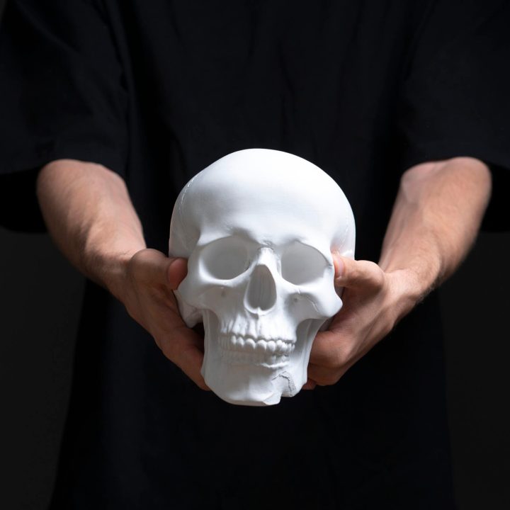 person's hands holding a human white skull on halloween