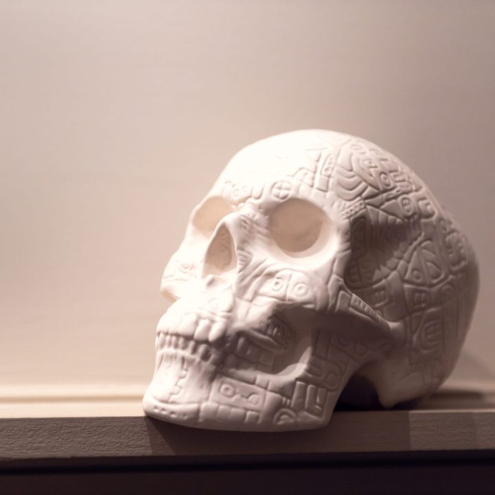 White Decorative Skull on shelf, home decoration, can be used as DIY project, for Halloween or Day of the Dead